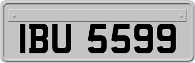 IBU5599