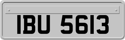 IBU5613