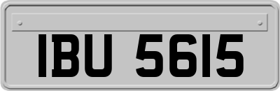 IBU5615