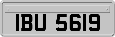 IBU5619