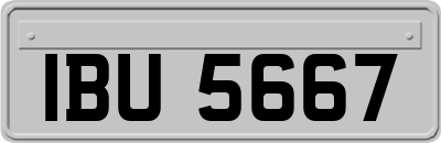 IBU5667