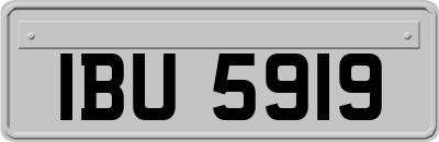 IBU5919