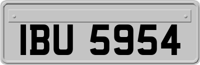 IBU5954
