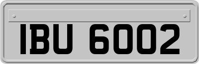 IBU6002