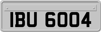 IBU6004