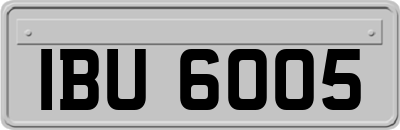 IBU6005