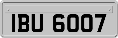 IBU6007
