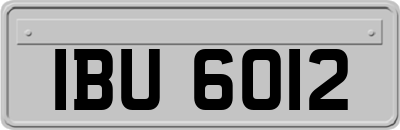 IBU6012