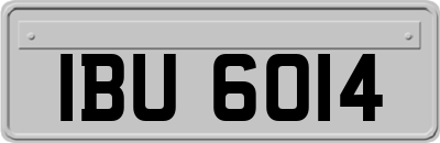 IBU6014