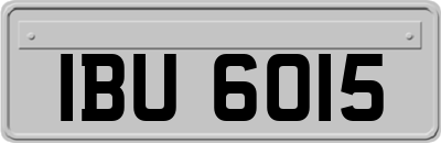 IBU6015