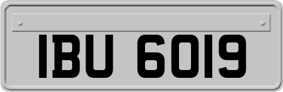 IBU6019