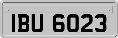 IBU6023