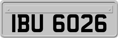 IBU6026