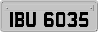 IBU6035