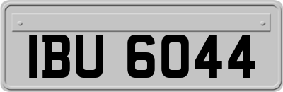 IBU6044