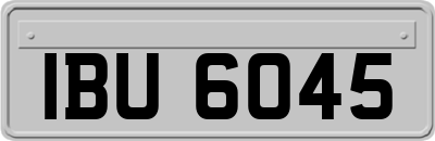 IBU6045