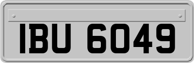 IBU6049