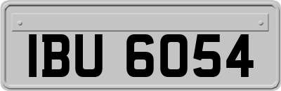 IBU6054