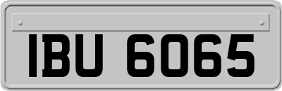 IBU6065