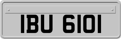 IBU6101