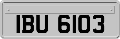 IBU6103