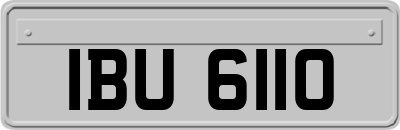 IBU6110