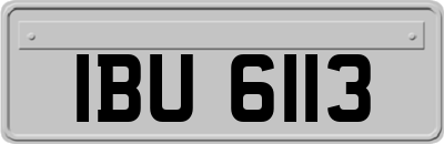 IBU6113