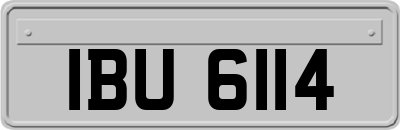 IBU6114