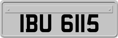 IBU6115