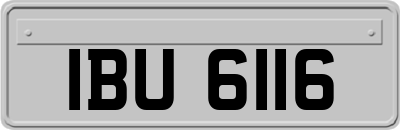 IBU6116