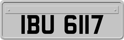 IBU6117