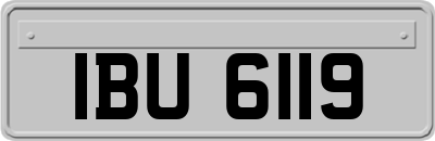 IBU6119