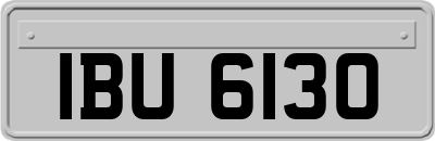IBU6130