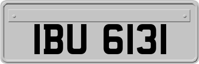 IBU6131