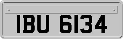 IBU6134