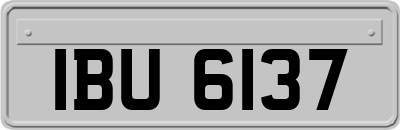 IBU6137