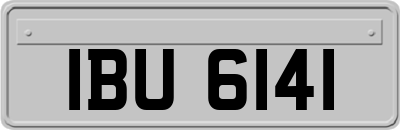 IBU6141
