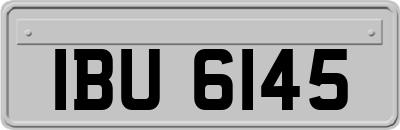IBU6145