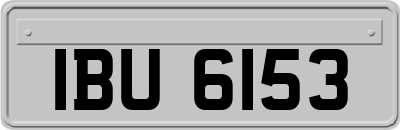 IBU6153