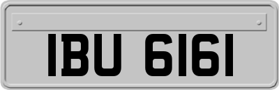 IBU6161