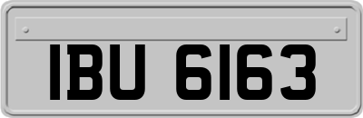 IBU6163