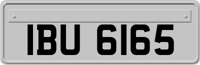 IBU6165