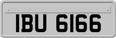IBU6166
