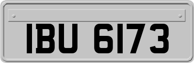 IBU6173