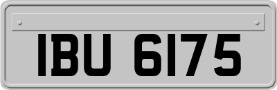 IBU6175