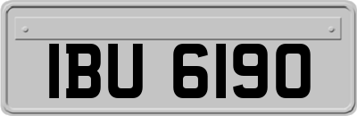 IBU6190