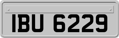 IBU6229