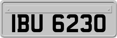 IBU6230