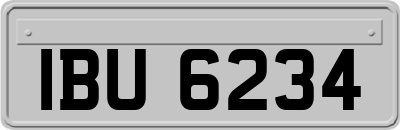 IBU6234
