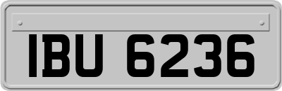 IBU6236